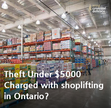 theft-shoplifting